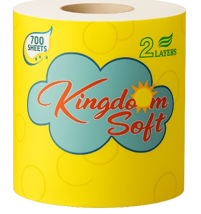 Toilet Rolls Pack of 10